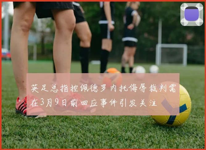英足总指控佩德罗内托侮辱裁判需在3月9日前回应事件引发关注